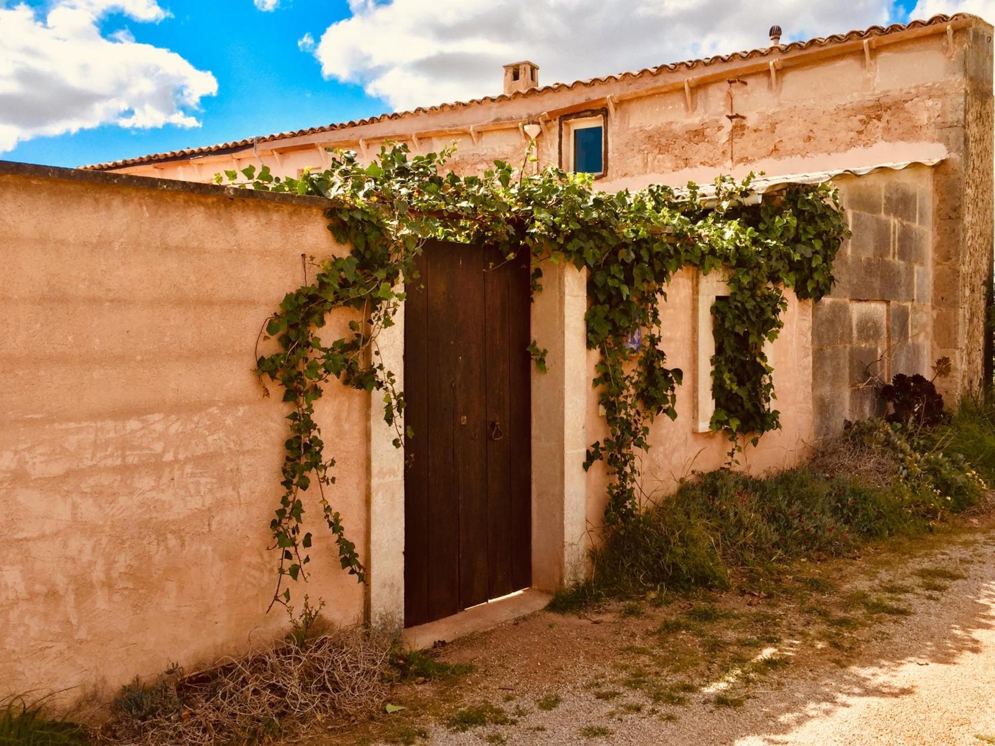 Arthouse Mit Haus Galeria 110qm Und Appartementhaus Mit Patio 30qm Campos (Mallorca)