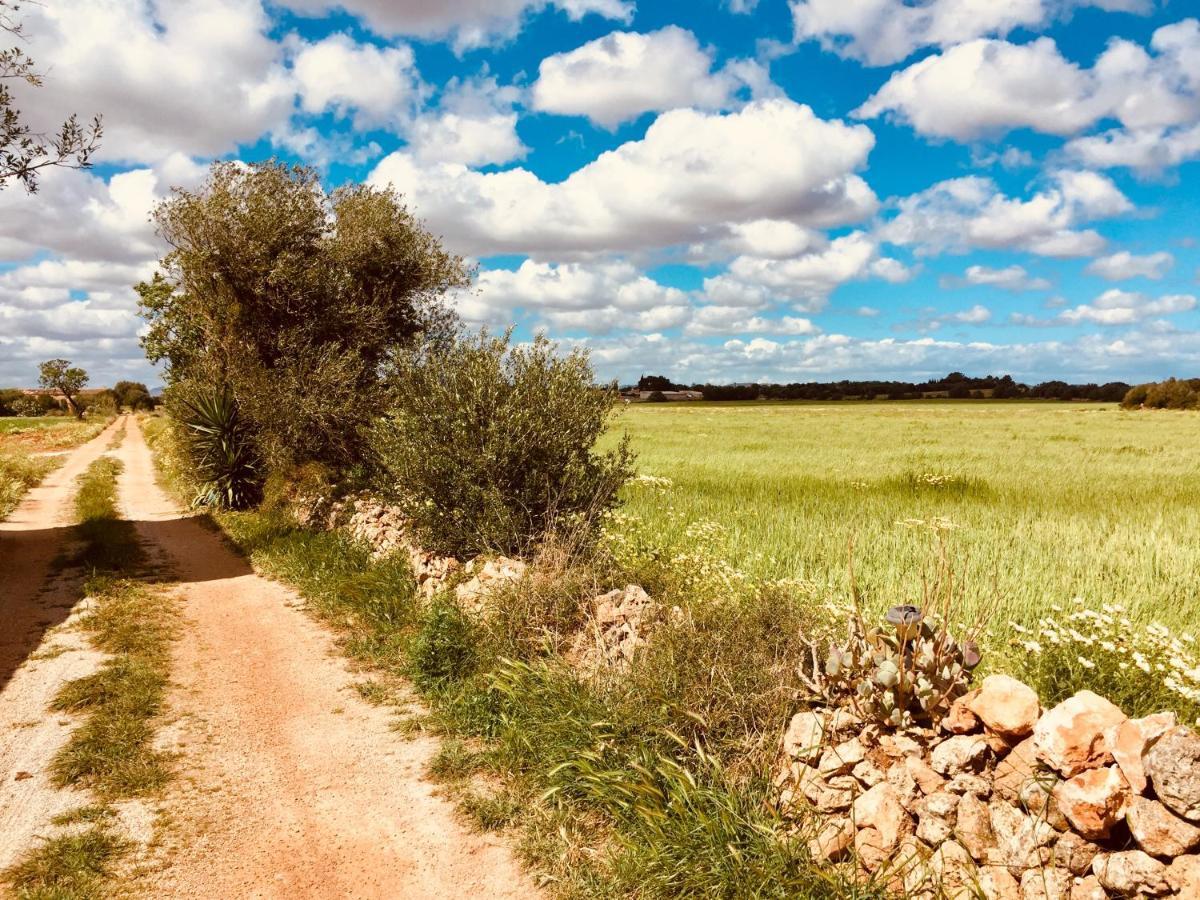 Arthouse Mit Haus Galeria 110qm Und Appartementhaus Mit Patio 30qm Campos (Mallorca)