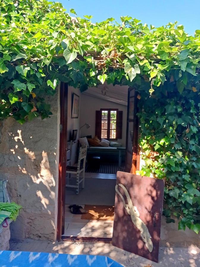 Arthouse Mit Haus Galeria 110qm Und Appartementhaus Mit Patio 30qm Campos (Mallorca)