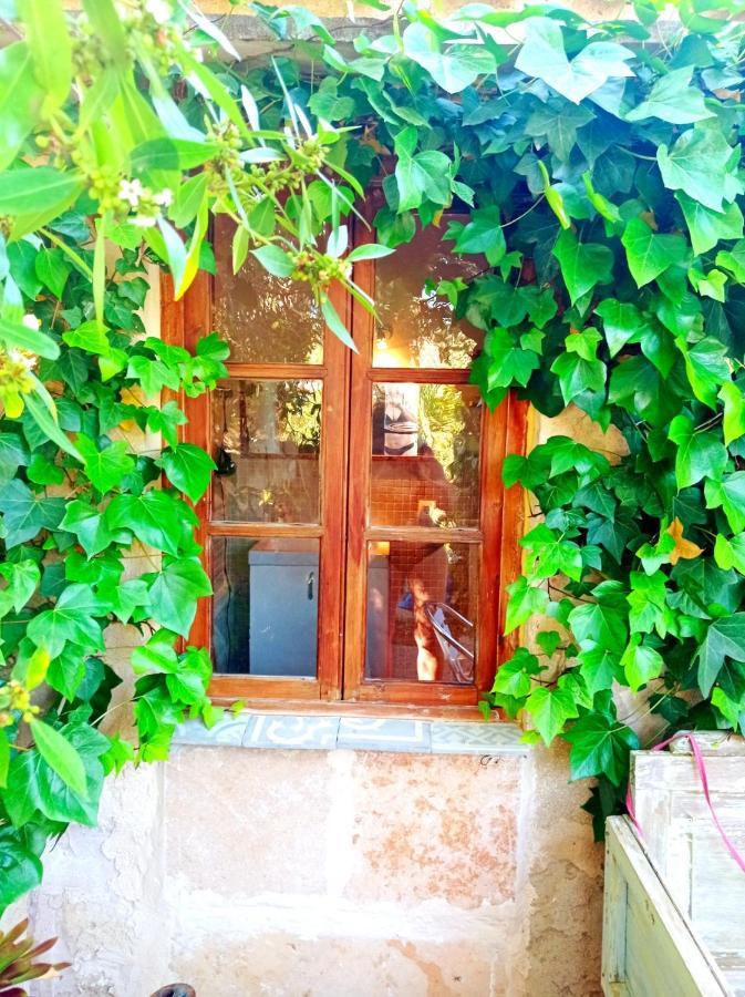 Arthouse Mit Haus Galeria 110qm Und Appartementhaus Mit Patio 30qm Ferienhaus