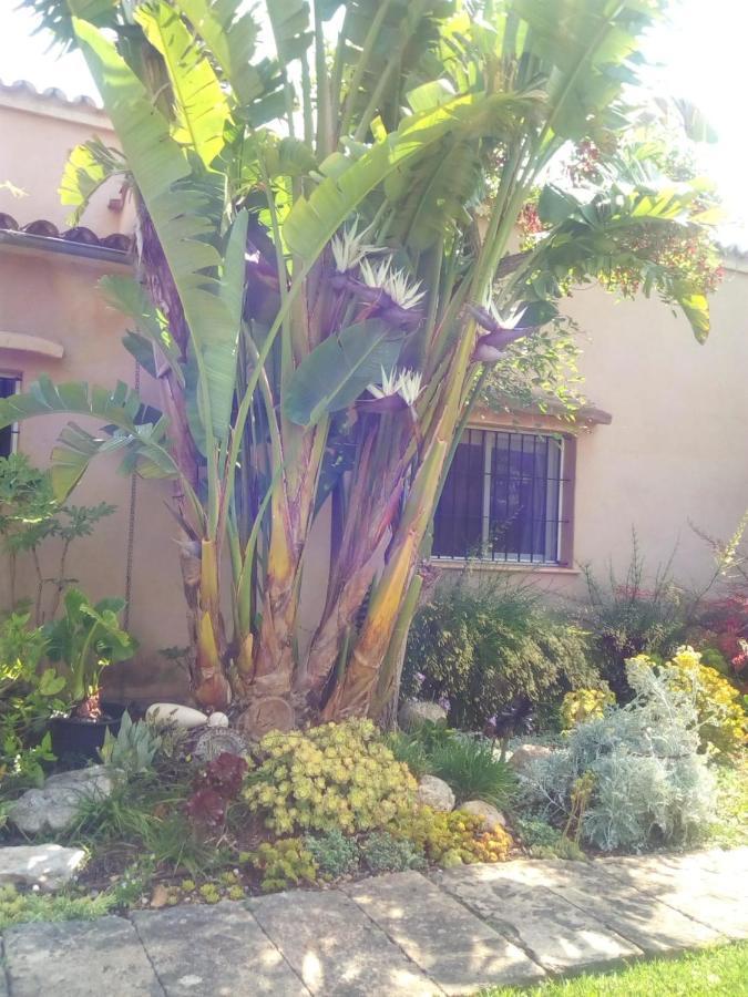 Casa de vacances Arthouse Mit Haus Galeria 110qm Und Appartementhaus Mit Patio 30qm Campos (Mallorca)