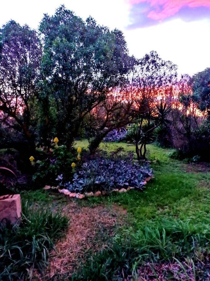 Casa de vacances Arthouse Mit Haus Galeria 110qm Und Appartementhaus Mit Patio 30qm *